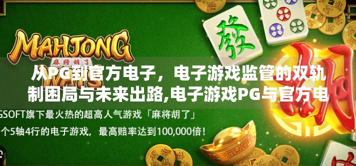从PG到官方电子,电子游戏监管的双轨制困局与未来出路,电子游戏PG与官方电子的关系深度剖析